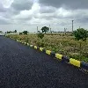Huge response to Kokapet lands auction
