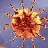Telangana corona cases and mortality update