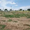 Telangana govt auctioned lands at Hyderabad suburban
