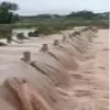 Heavy rains lashes some districts in AP
