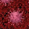 Telangana reports 746 new corona positive cases, 5 deaths today