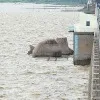 Officials warns Musi River Area people to stay aware