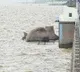 Officials warns Musi River Area people to stay aware