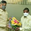 Bakkani Narsimhuli appointed as TTDP president