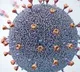 corona antibodies remain in body 9 months after recovery
