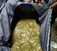 Taliban hand in drug trafficking via Hyderabad