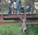 Girl killed after wearing jeans against family members will