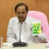 CM KCR reviews rains in Telangana