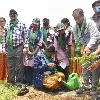TMREIS takes up Telanganaku Haritha Haram Drive