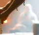 Prabhas Starts Project K