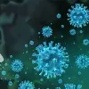 Canada scientists to develop drug that affect all viruses