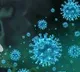 Canada scientists to develop drug that affect all viruses