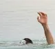 Four Childern died after fell into lake