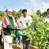 big b priticipates in green india challenge