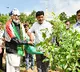 big b priticipates in green india challenge