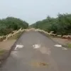 modi shares interesting video