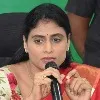 It has been two days since the houses were demolished but no response from KCR says Sharmila