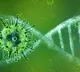 Corona variants change themselves in human bodies