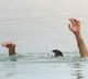 Family suicide by jumping into river in east godavari