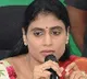 sharmila slams kcr