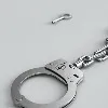 TDP follower Jyothi Sri arrested