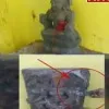 Some Idols in Srikakulam district vandalized