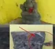 Some Idols in Srikakulam district vandalized