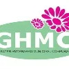 GHMC plans online portal for birth and death certificates