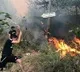 Algeria Wildfires Kill 42 Authorities Blame Arson