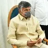 jyothi sri and janardhan met with chandrababu