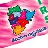 TRS Ready To Write Letters To Huzurabad people