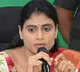 sharmila slams kcr