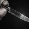 Woman Kills Daughter Later Tries To Kill Herself