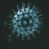 Telangana covid positive cases update