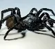 Australian researchers found spider poison useful in heart attack treatment
