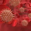 Babies and toddlers spread coronavirus in homes more easily