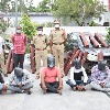 Andhra police arrest 5 people, seize 20 red sanders logs