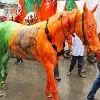 BJP colours painted on a horse in Indore