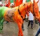 BJP colours painted on a horse in Indore