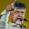 Chandrababu demands full refund for Agrigold depositors