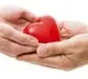 5-yr-old gives new lease of life to others with organ donation