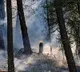 California secures disaster declaration as wildfires spread