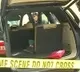 Interesting facts about Karanam Rahul murder case