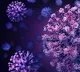 One vaccine for all variants is needed says WHO