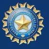 BCCI announces release of tender to own and operate IPL team