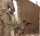 US Military left alone their dogs in Afghanistan