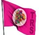 100 TRS workers joins Congress in Hyderabad