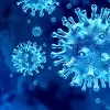 10 students infected to corona in karabalakot chittoor dist