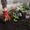 Interest in gardening surges among Australians amid lockdown