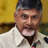 Andhra police targeting TDP cadre, alleges Chandrababu Naidu